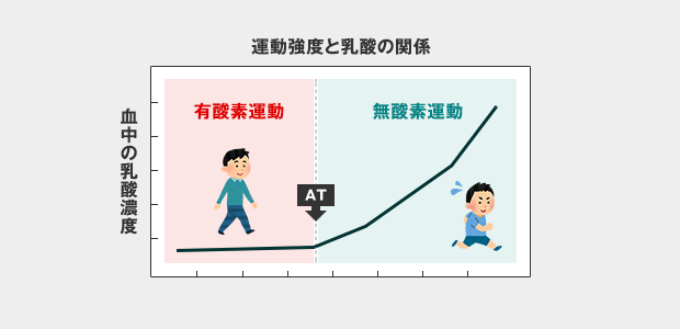 運動強度(AT)のグラフ