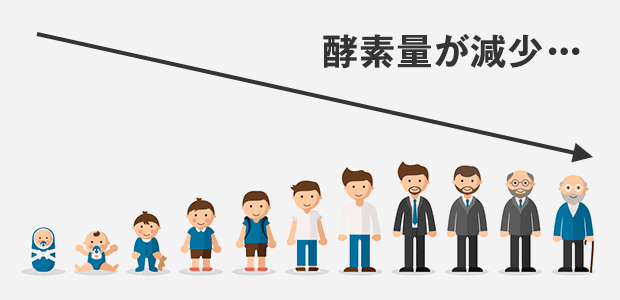 年齢とともに減少する