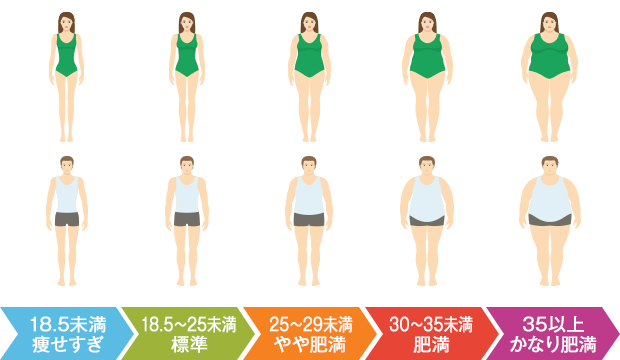 肥満度の基準
