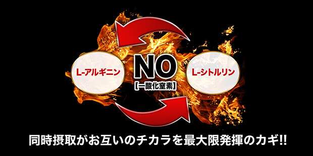 L-アルギニン NO L-シトルリン