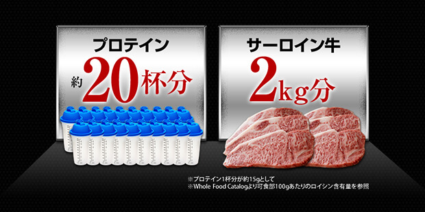 業界トップクラスの「HMB量